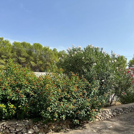 Casette Masseria La Camardia Sava Dış mekan fotoğraf