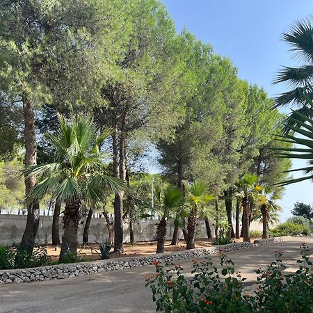 Casette Masseria La Camardia Sava Dış mekan fotoğraf