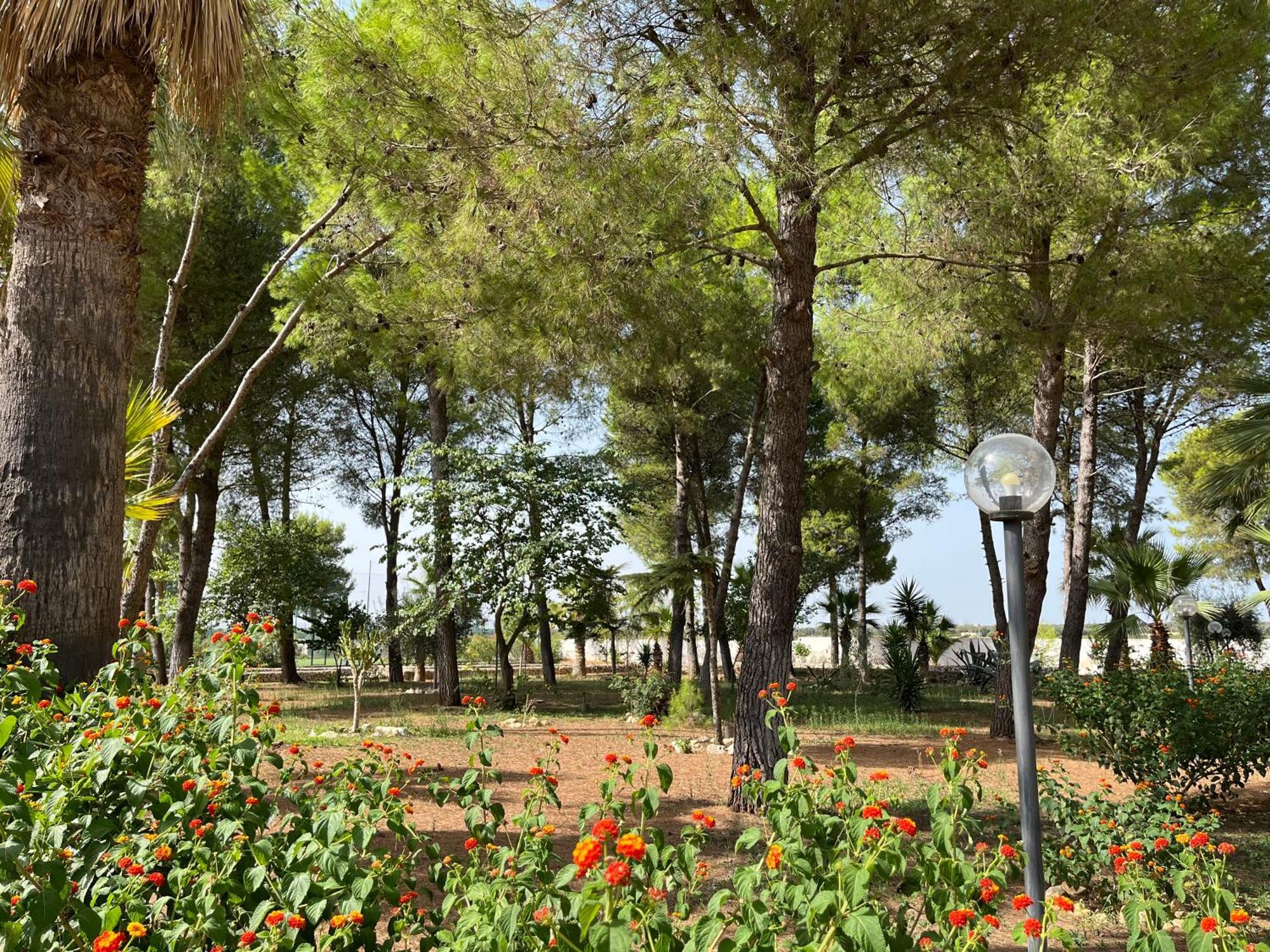 Casette Masseria La Camardia Sava Dış mekan fotoğraf