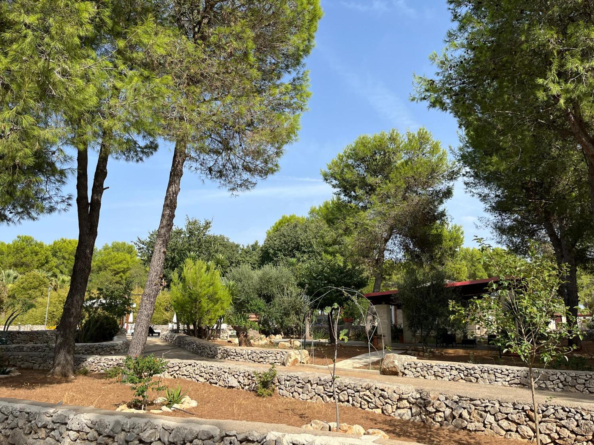 Casette Masseria La Camardia Sava Dış mekan fotoğraf