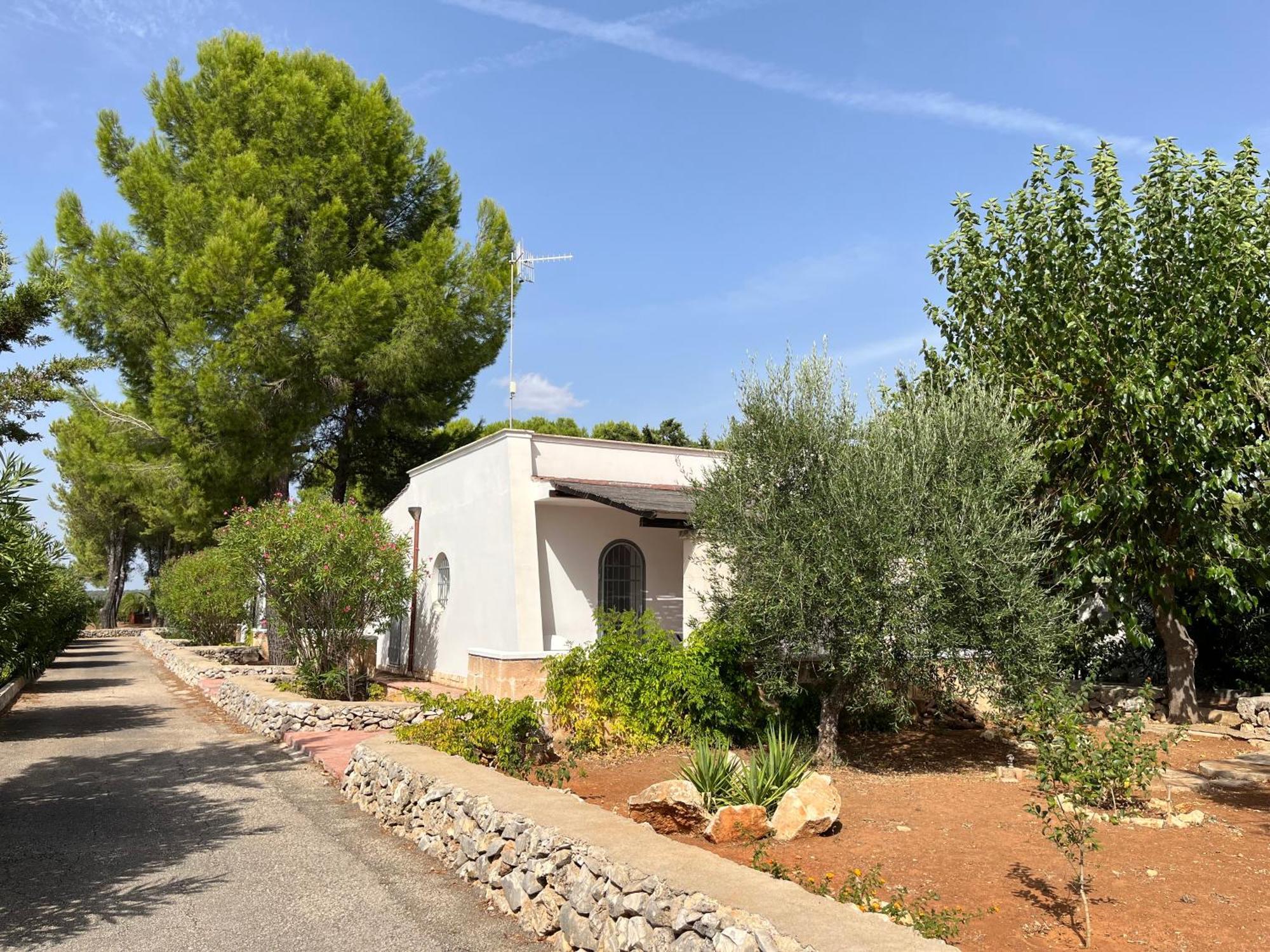 Casette Masseria La Camardia Sava Dış mekan fotoğraf