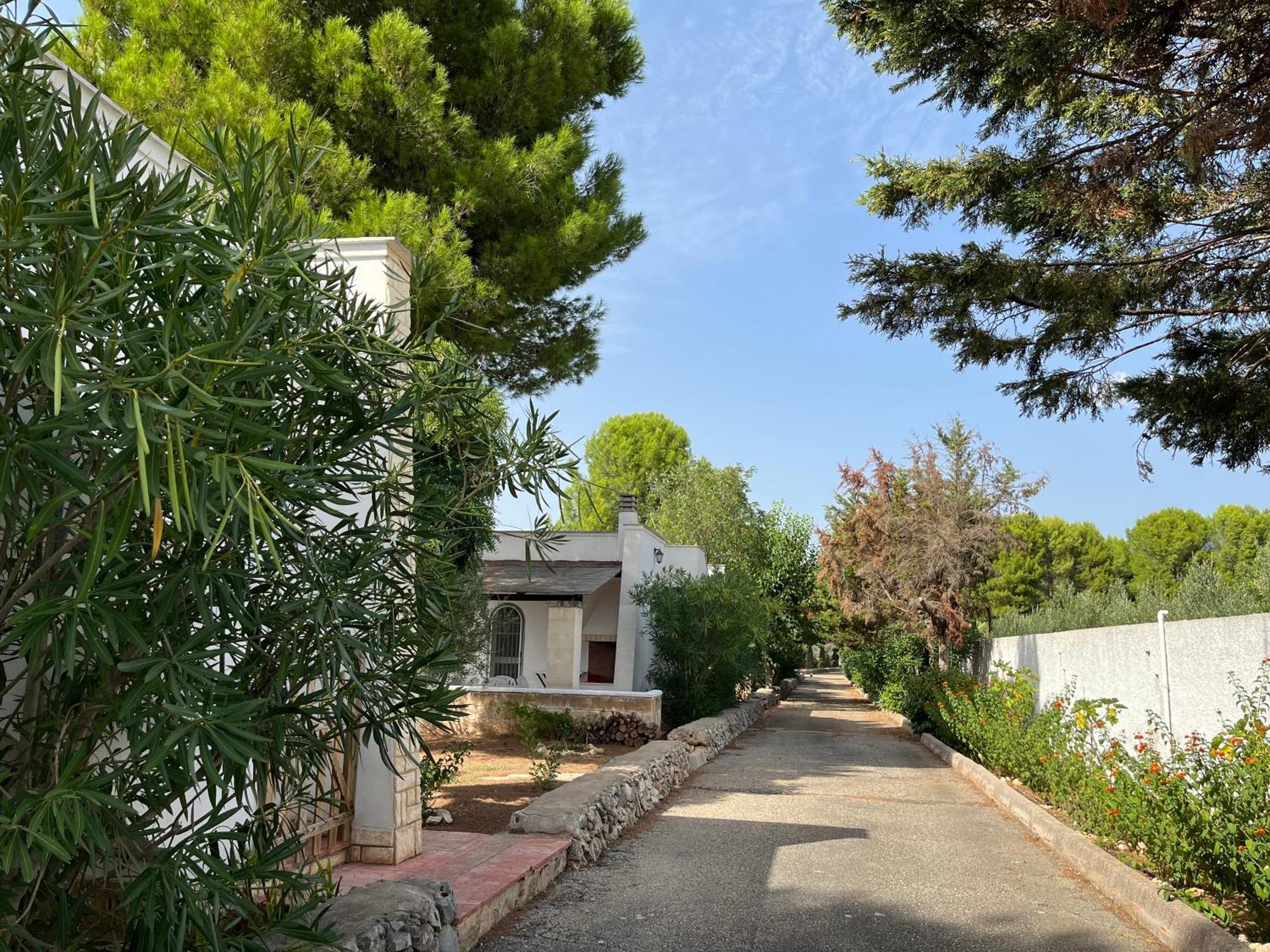Casette Masseria La Camardia Sava Dış mekan fotoğraf