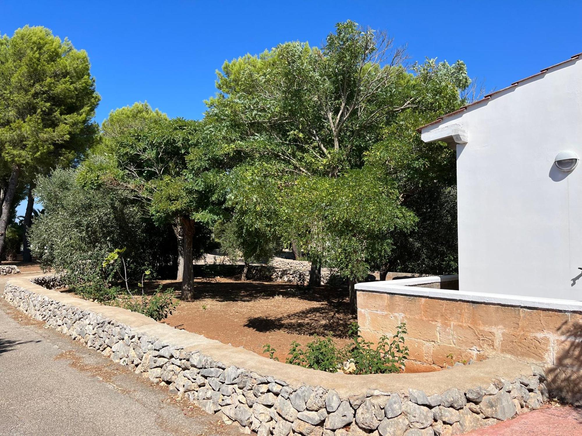 Casette Masseria La Camardia Sava Dış mekan fotoğraf