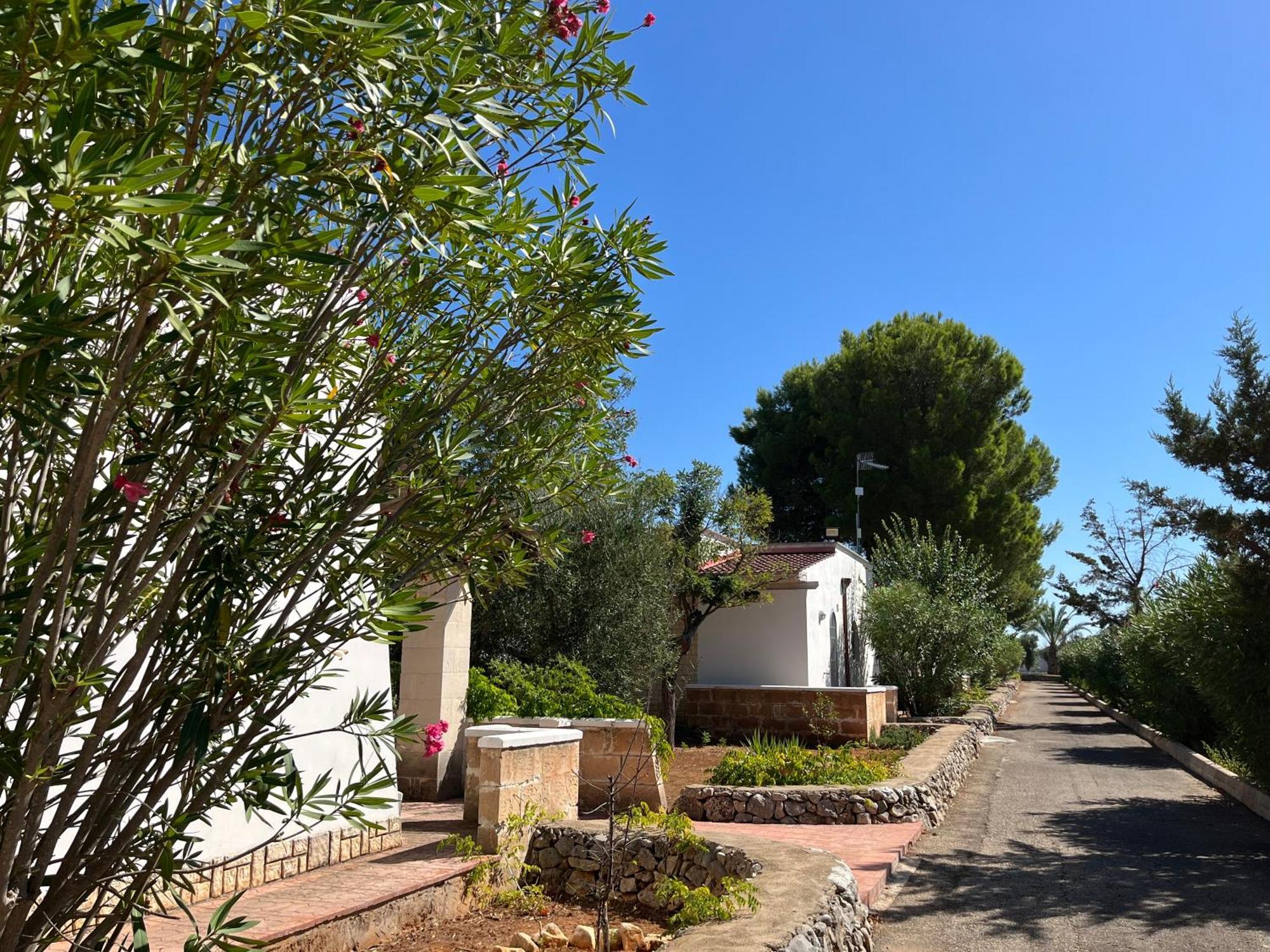 Casette Masseria La Camardia Sava Dış mekan fotoğraf