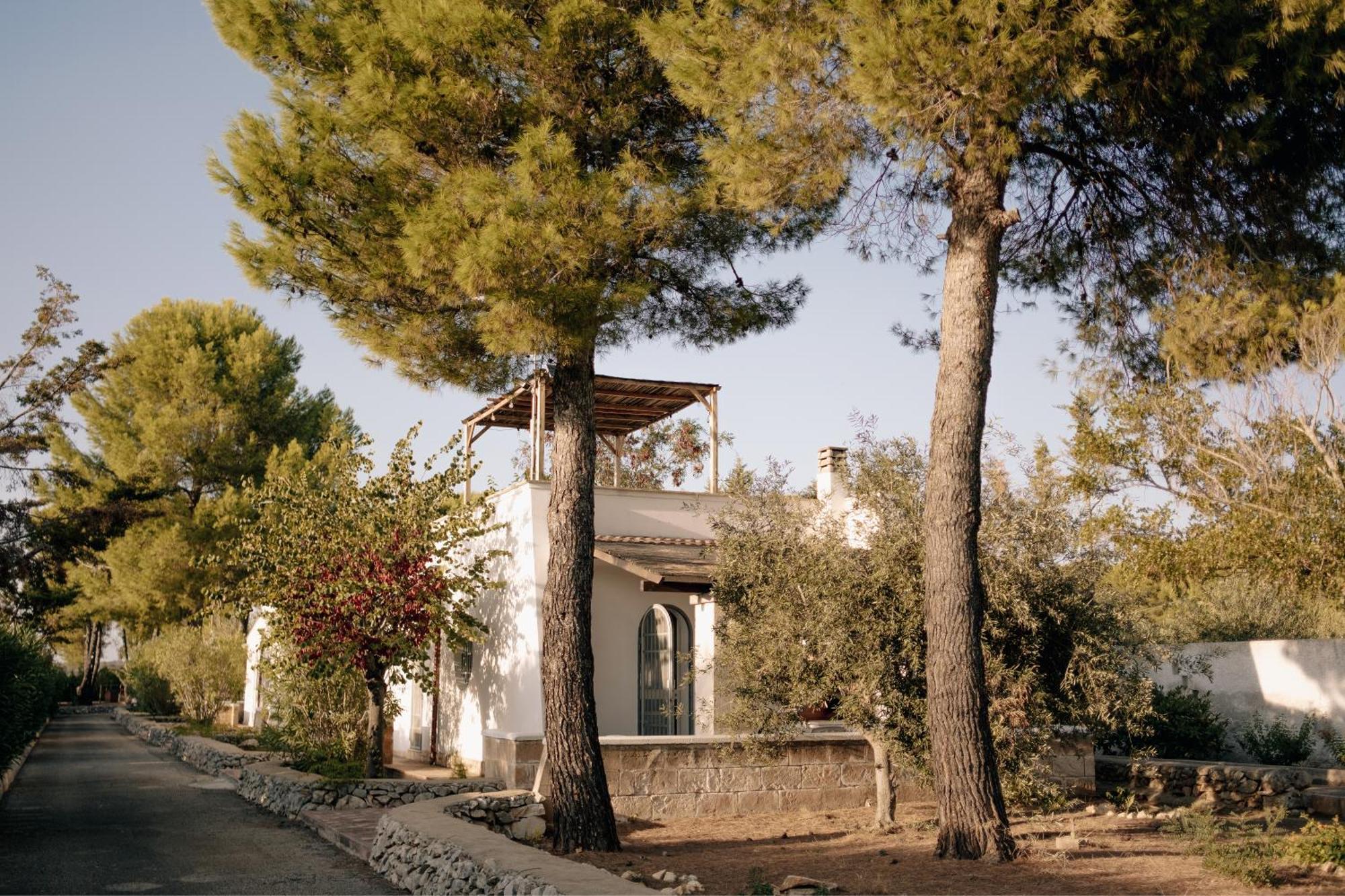 Casette Masseria La Camardia Sava Dış mekan fotoğraf