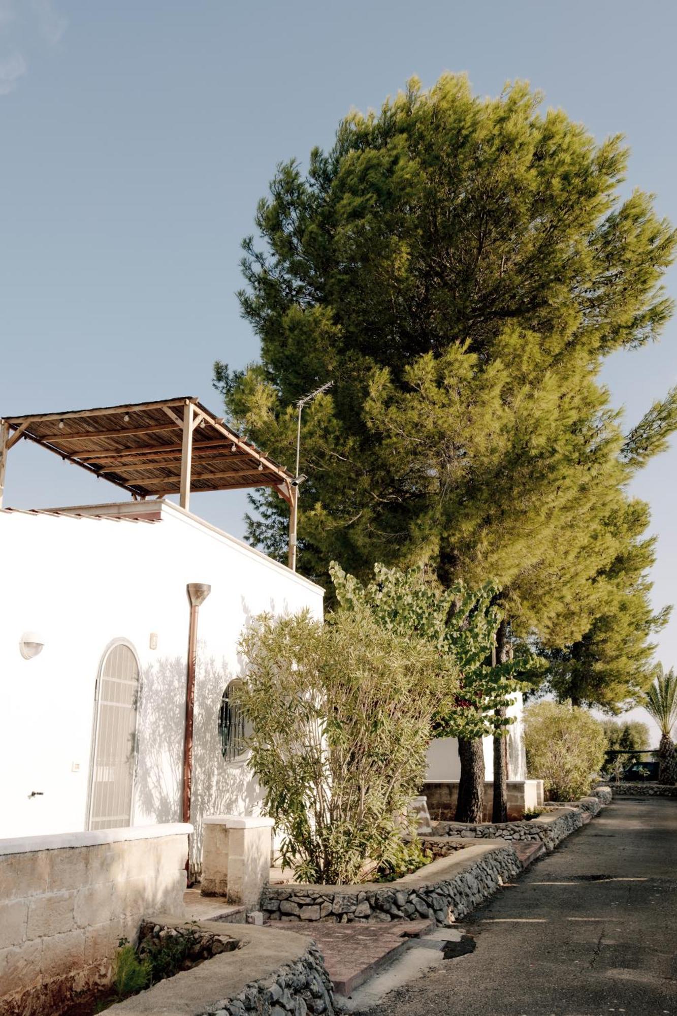 Casette Masseria La Camardia Sava Dış mekan fotoğraf